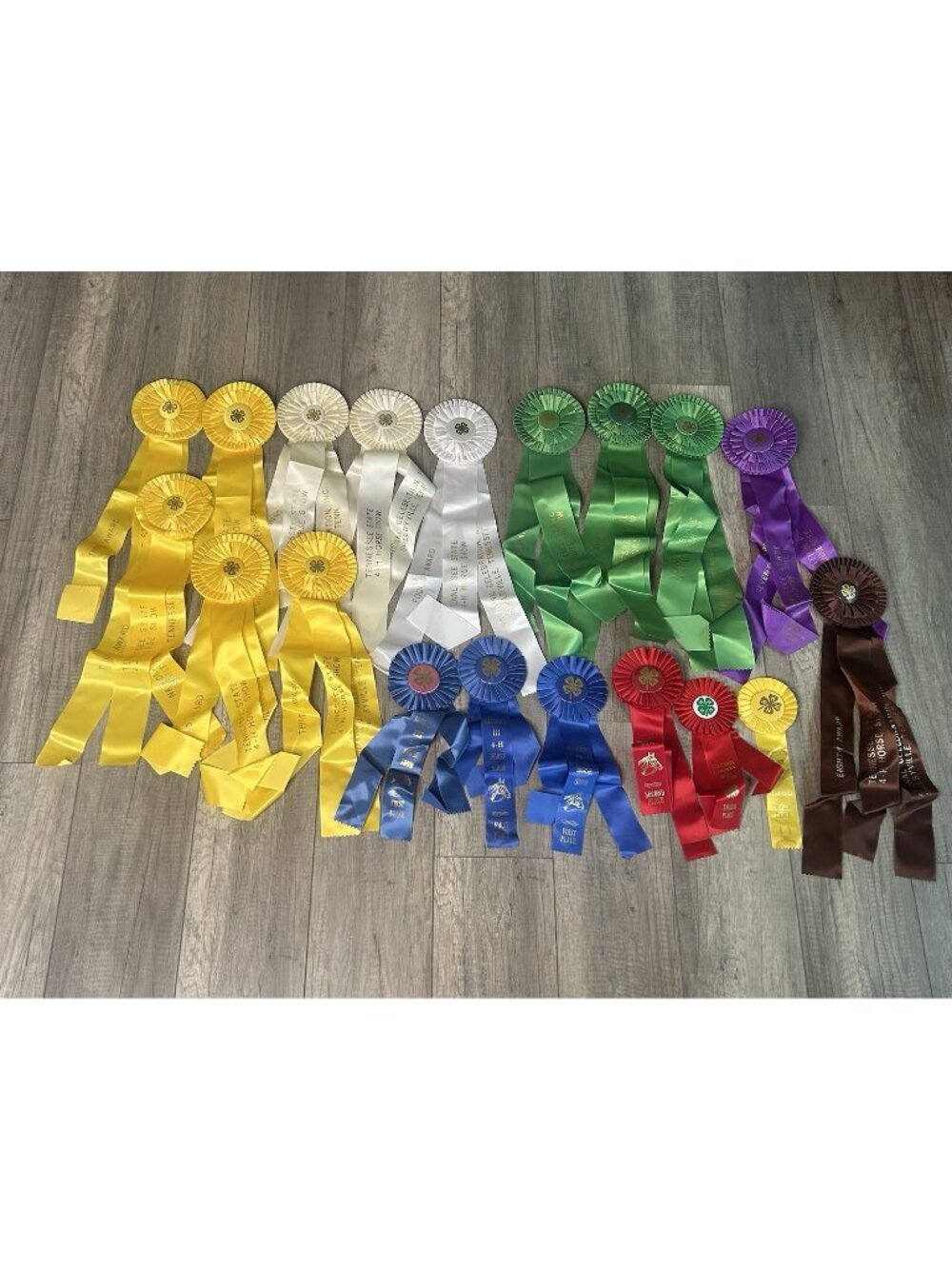 Show Ribbons 4-H Club Rosettes Craft Equestrian Tennessee Shelbyville Lot Of 19 - Picture 1 of 16